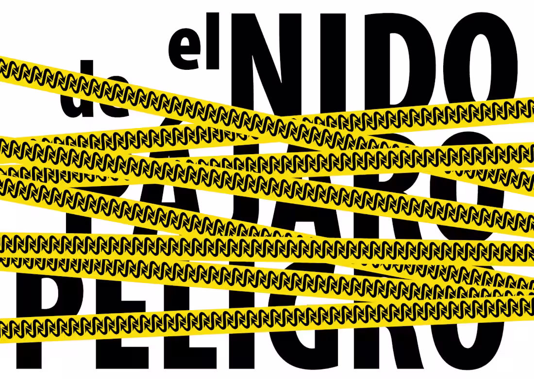 Cover image for Graphic identity for ElNidoDePájaroPeligro