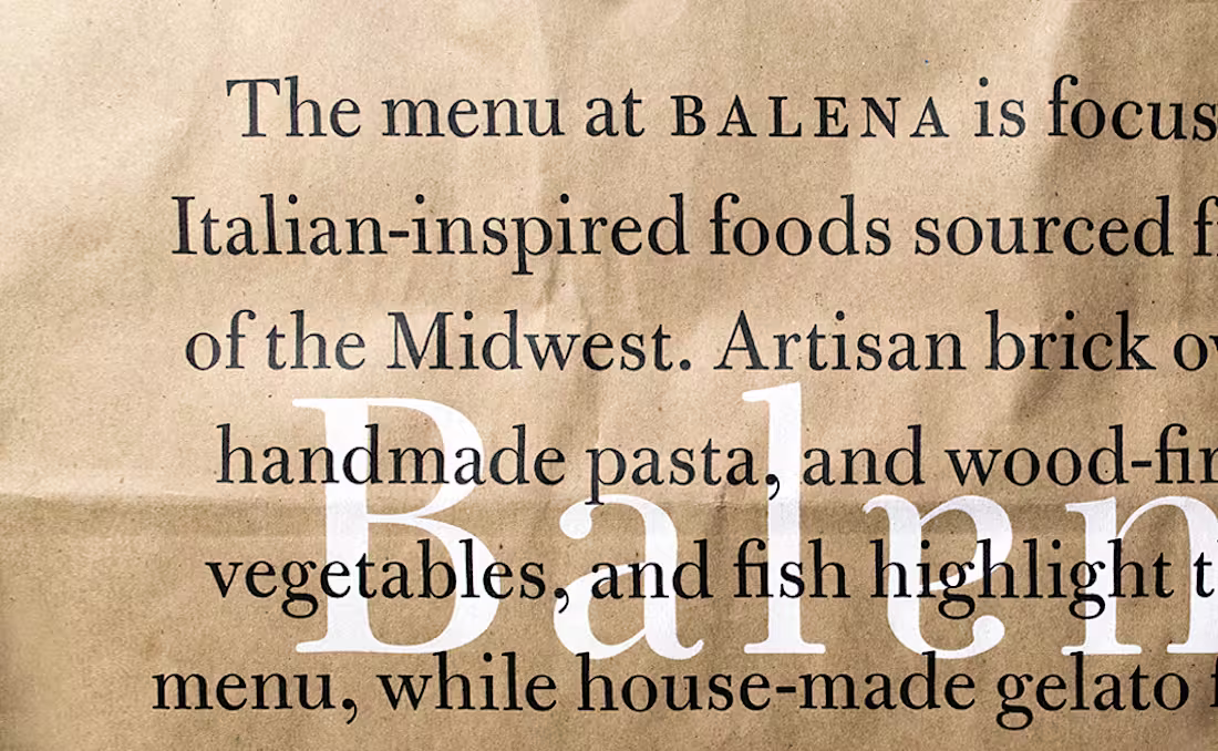 Cover image for Balena