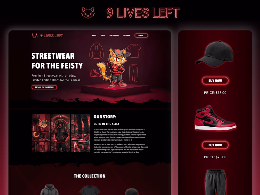 Cover image for 9 Lives Left