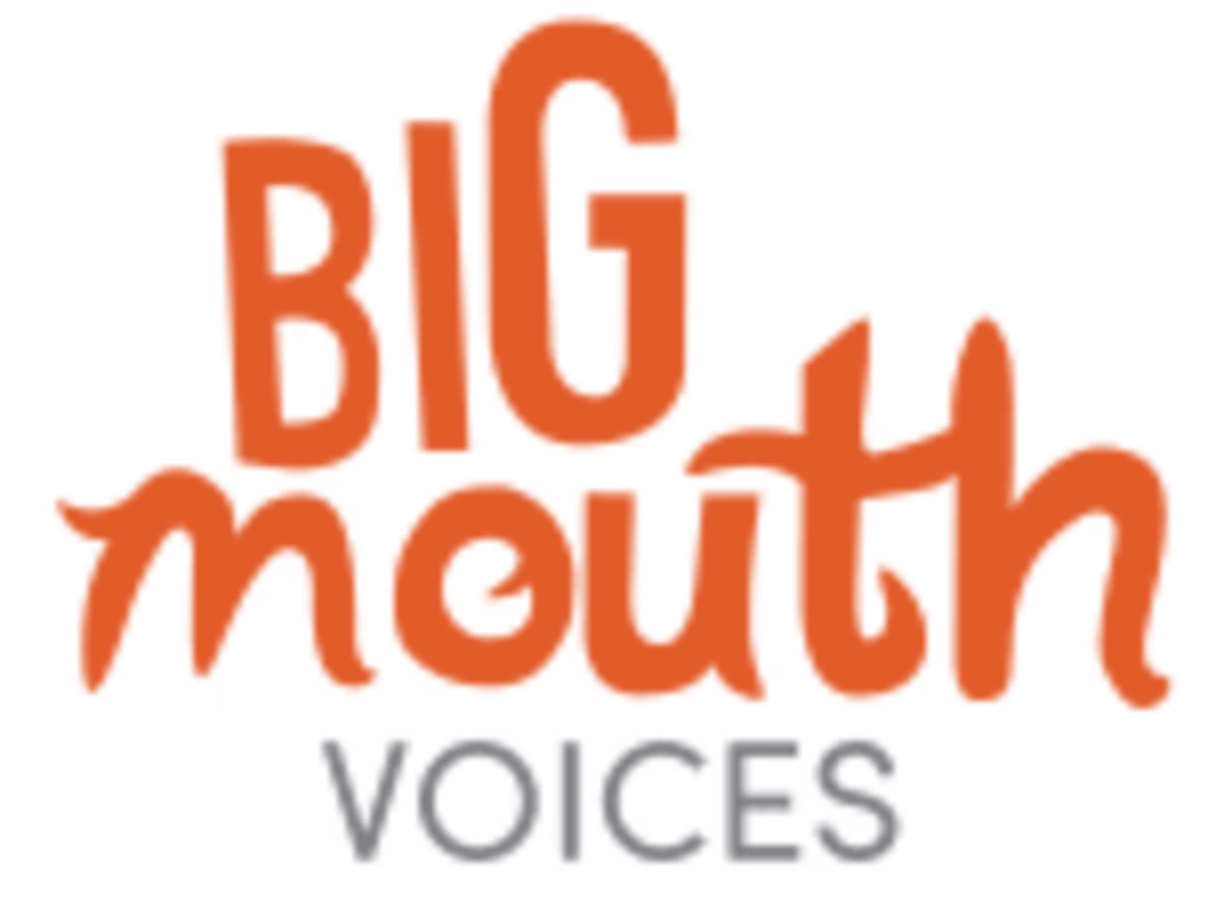 Cover image for BigMouth Voices