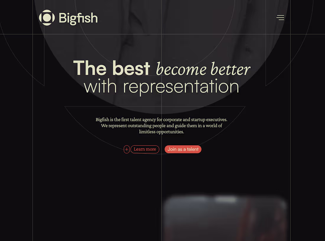 Cover image for BigFish
