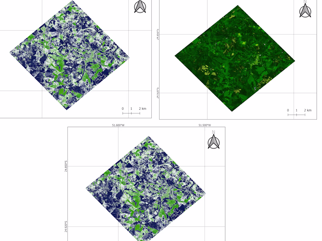 Cover image for Use of analysis indexes to assess vegetation