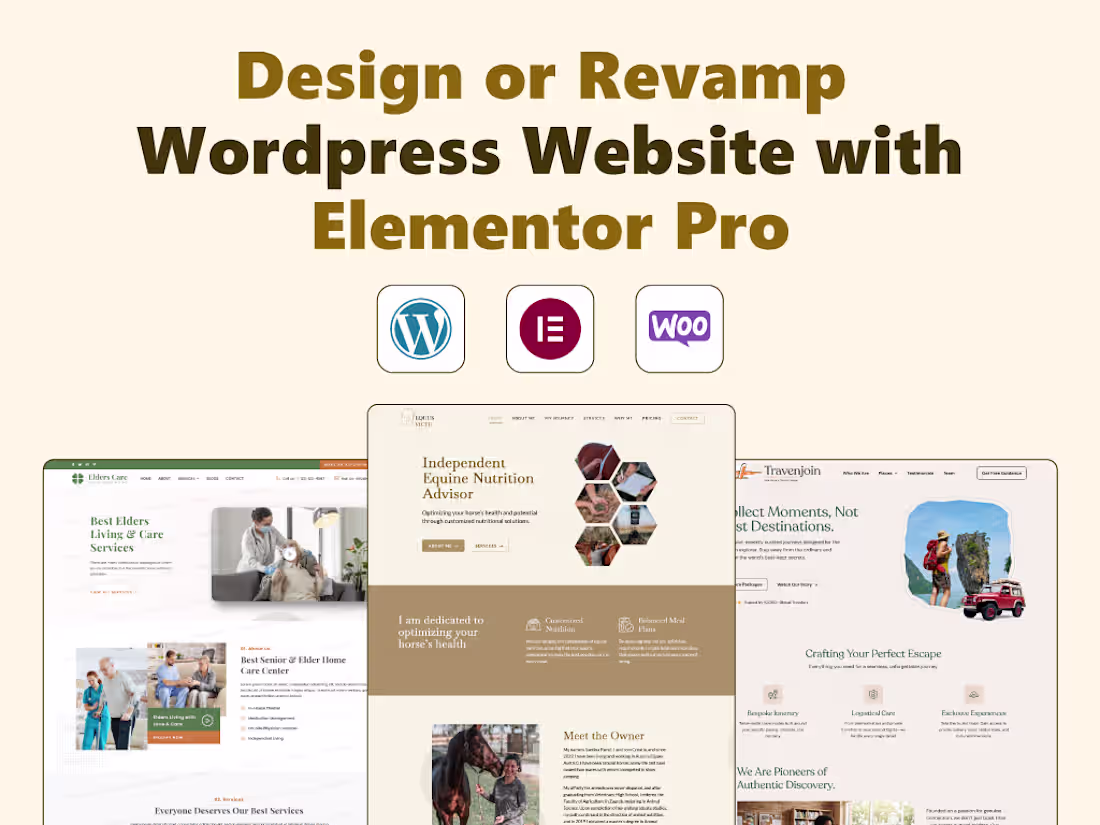 Cover image for I will design or revamp your WordPress website using Elementor