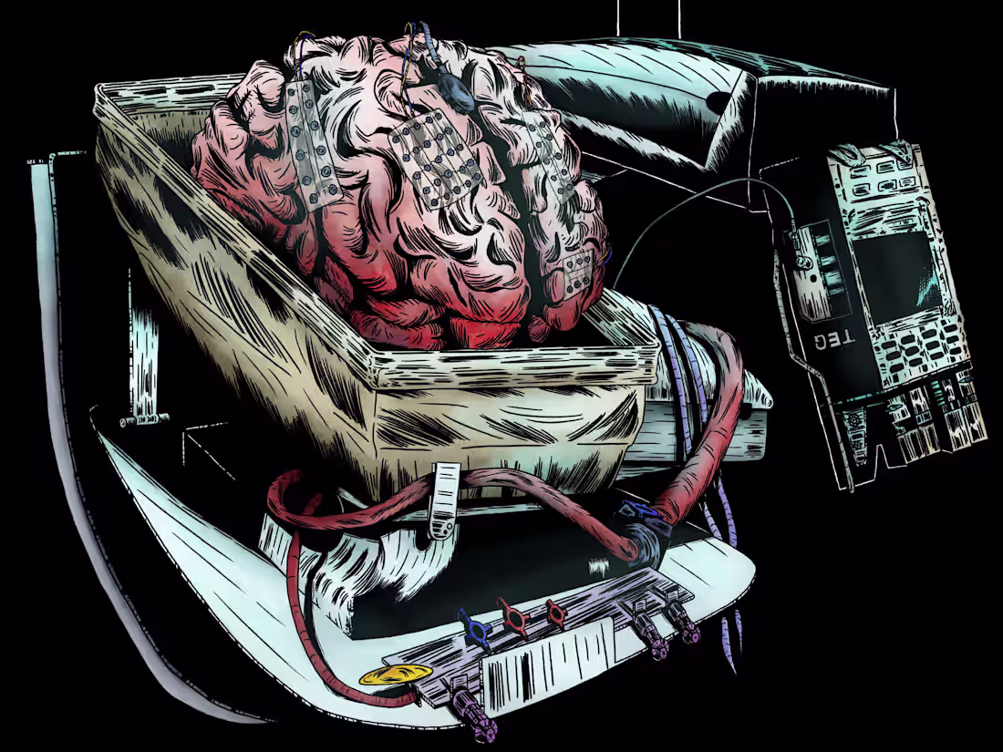 Cover image for January 07th 2024 - I Think Therefore I Am