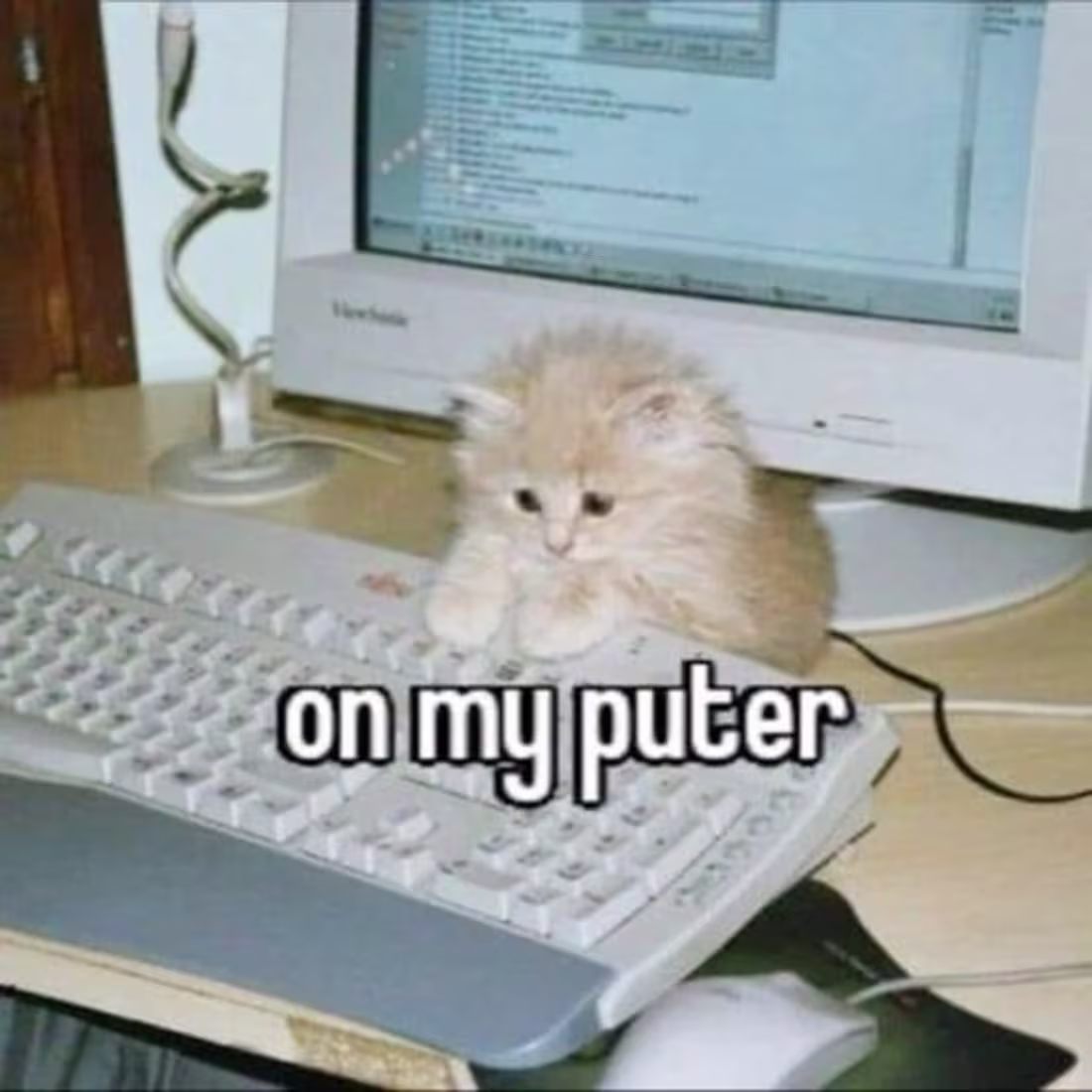 Cover image for this is cat work