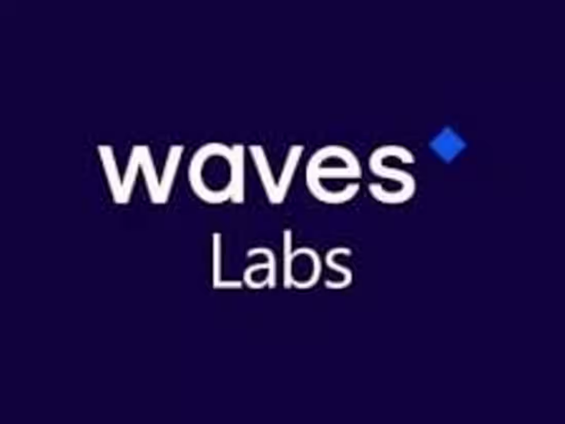 Cover image for Waves Ecosystem Blog