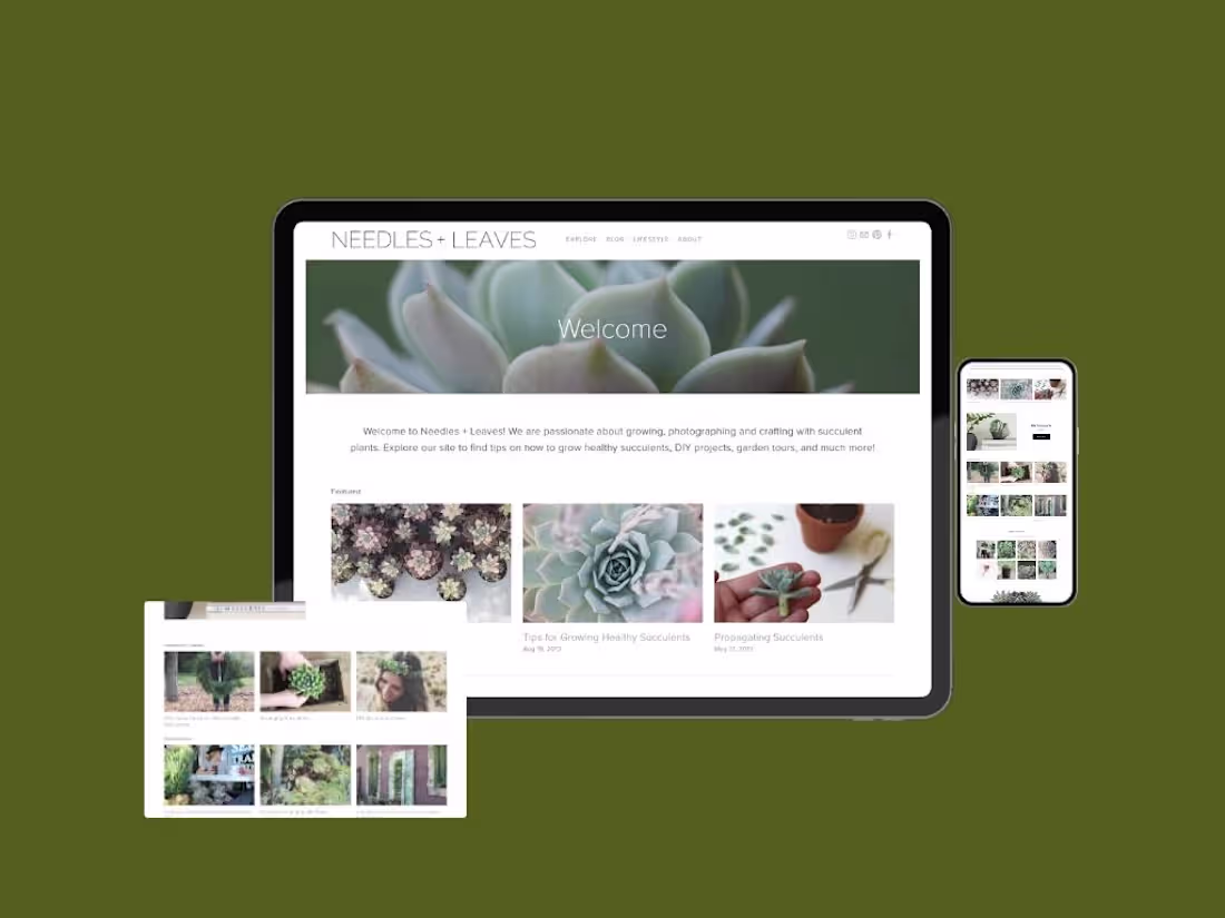 Cover image for I edited a Squarespace website