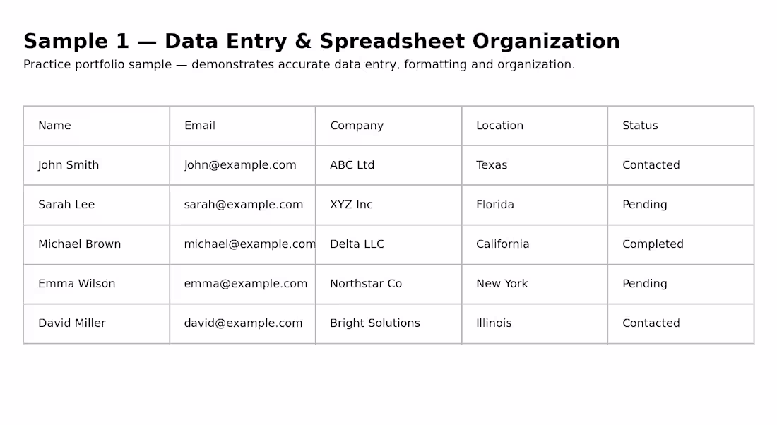 Cover image for Practice Data Entry & Spreadsheet