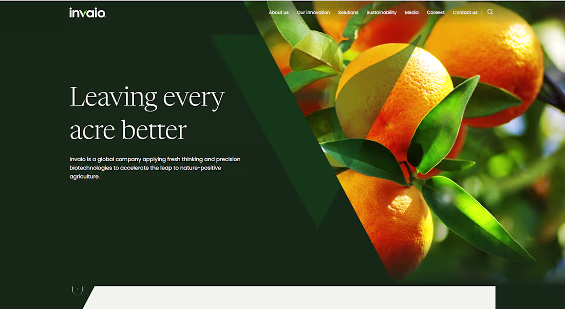 Cover image for Project Title: AgTech Innovation Platform