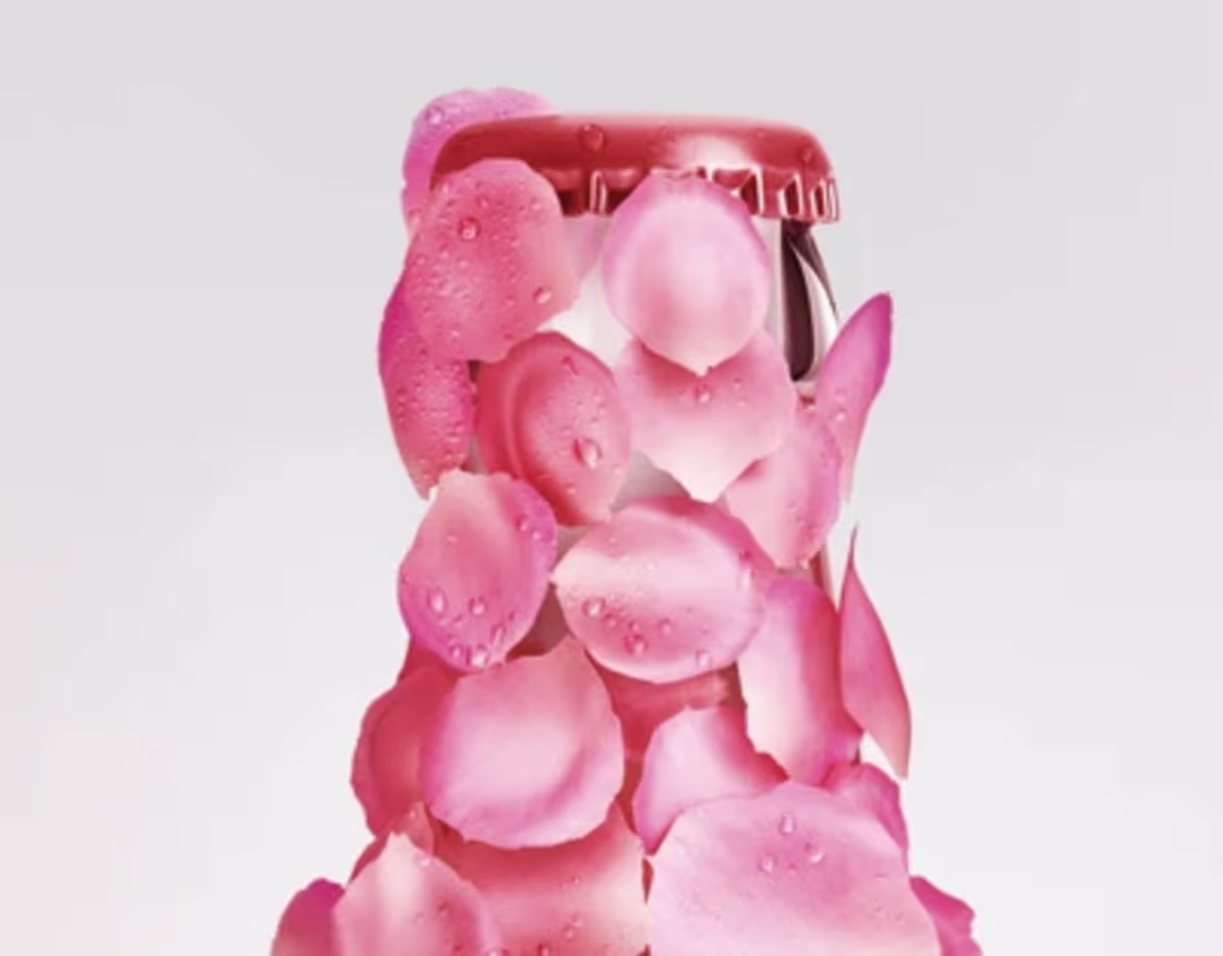 Cover image for Vinea rose