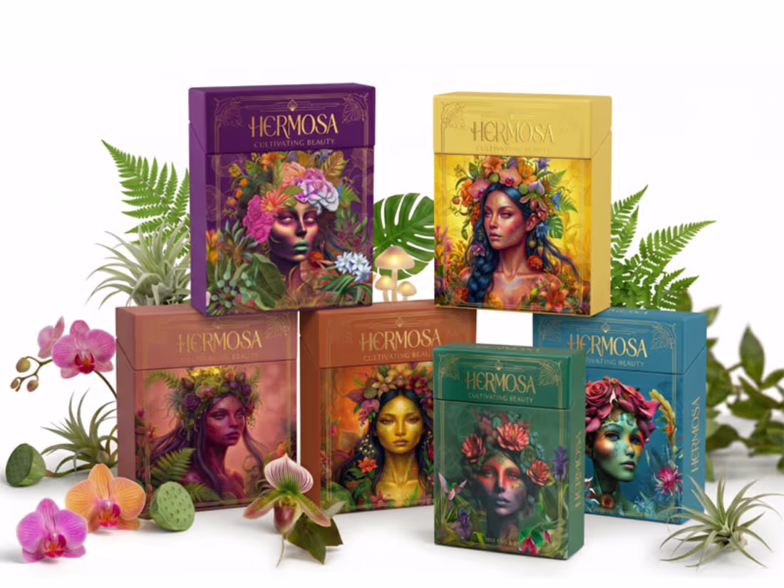 Cover image for Hermosa Product Expansion and Visual Language Development
