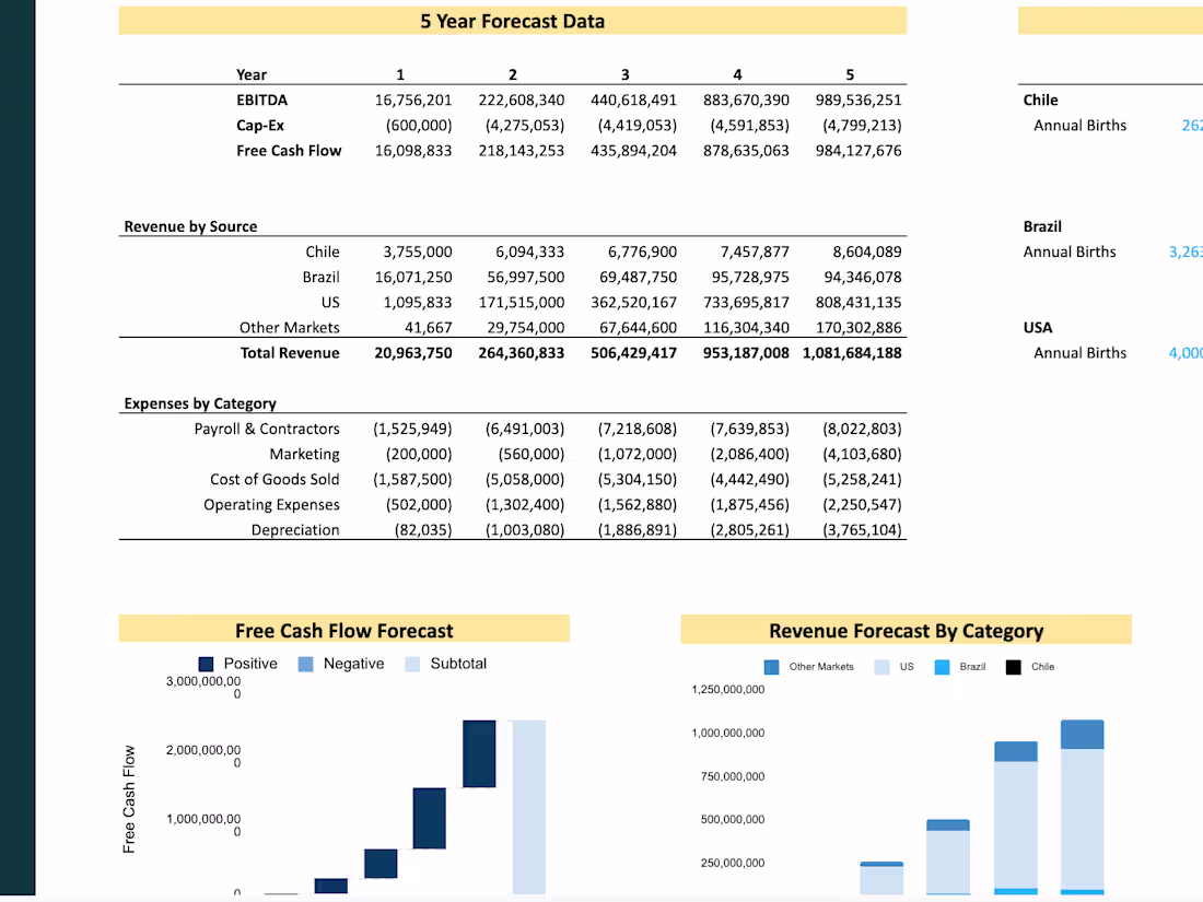 Cover image for Financial Model for Pre-Rev SaaS Startup