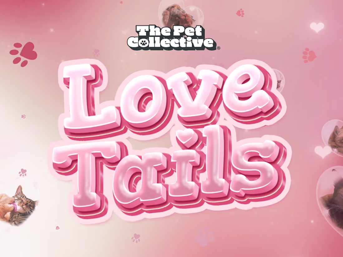 Cover image for Custom Broadcast Motion Branding for The Pet Collective [47M+]