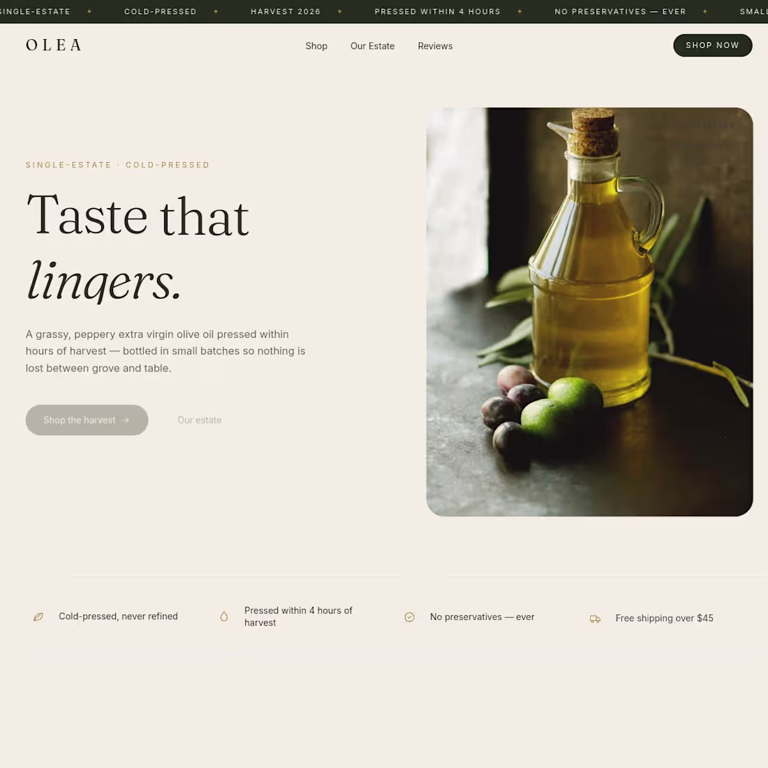 Cover image for Build a Fast Business Website, Storefront or Landing Page