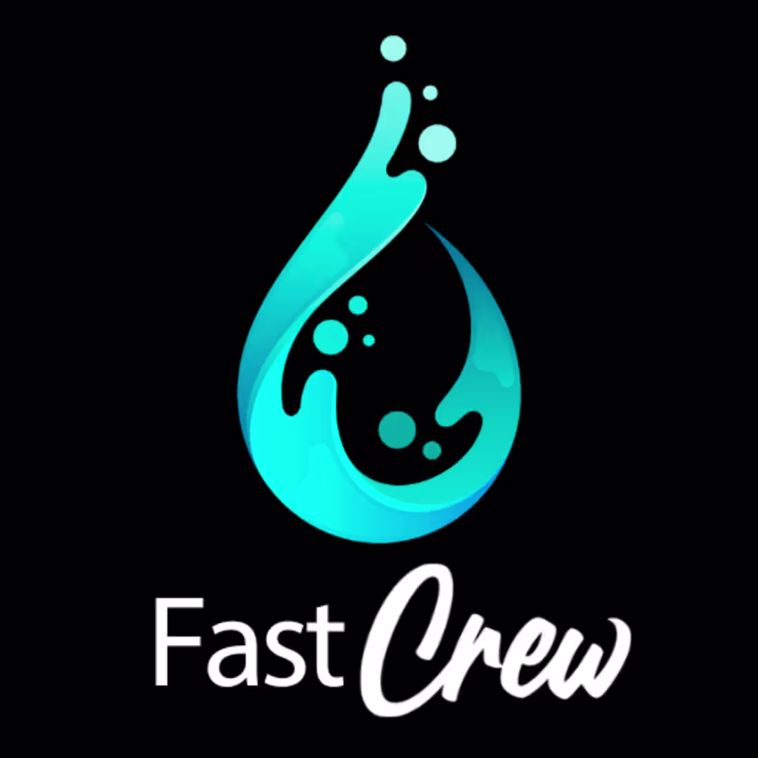 Cover image for Fast Crew