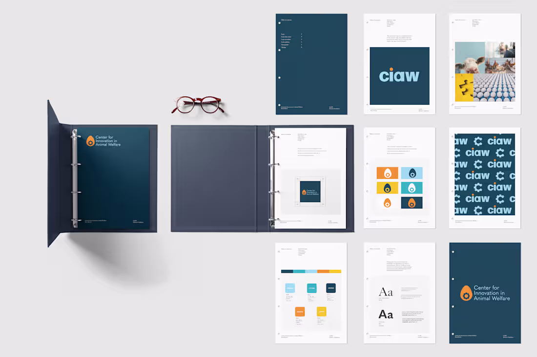 Cover image for CIAW Brand Identity 