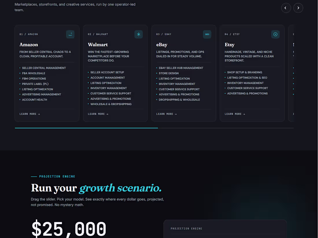 Cover image for WordPress Business Website -- Ecom Scaleup Agency