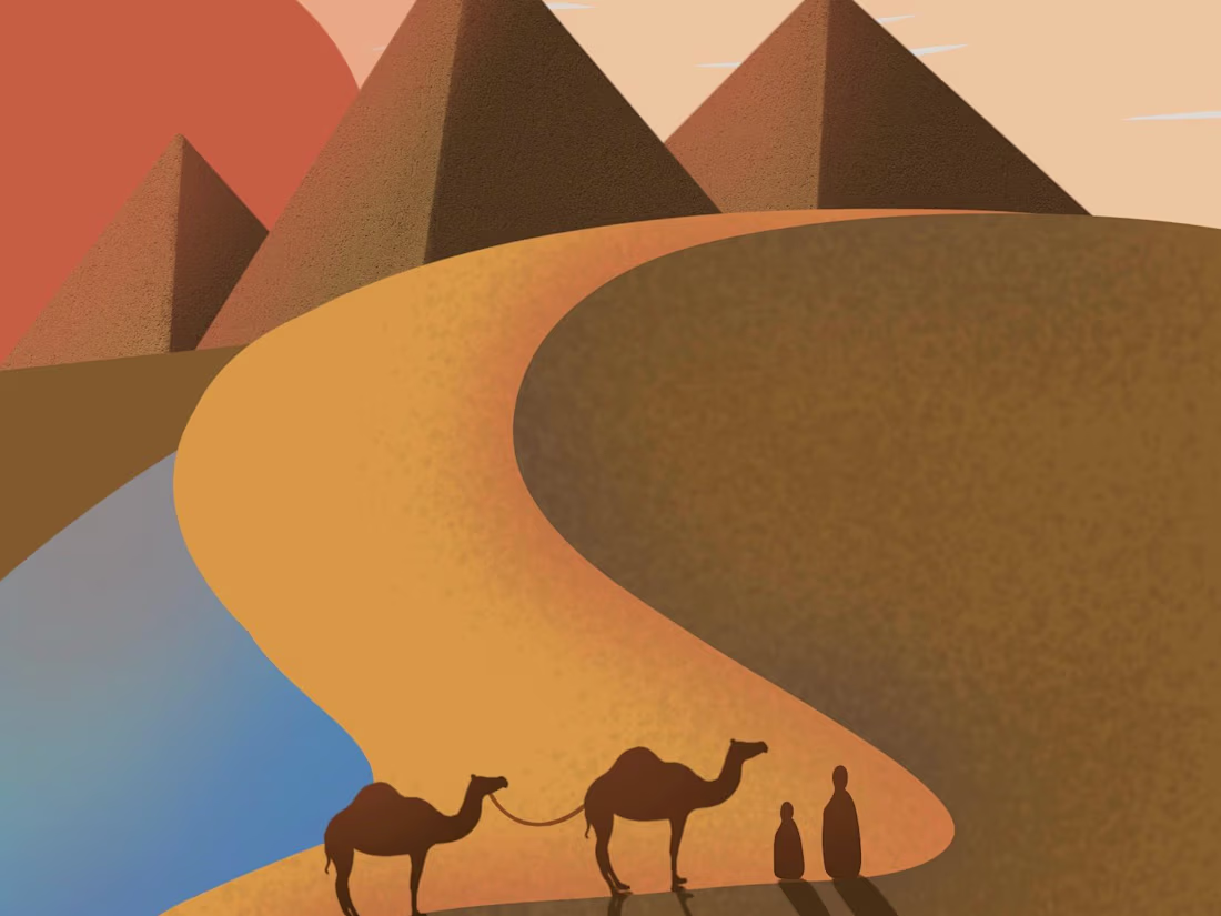 Cover image for Illustrator and Graphic Designer available