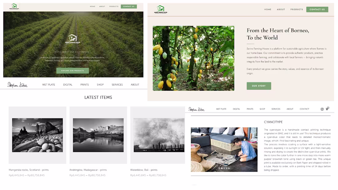 Cover image for Website Design & Development 