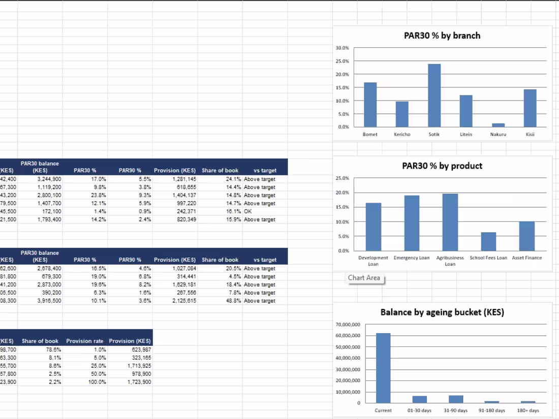 Cover image for Loan Portfolio & Credit Risk (SACCO)