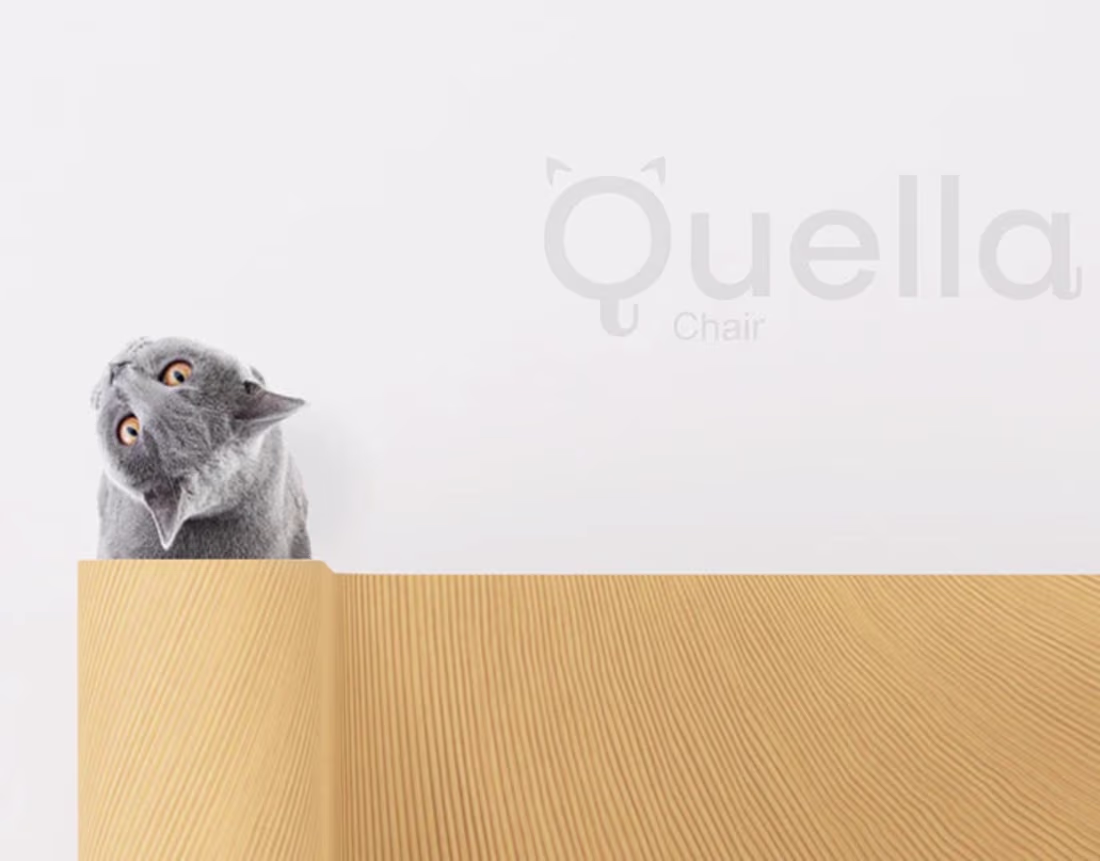 Cover image for The Quella | Industrial Product design portfolio 2024