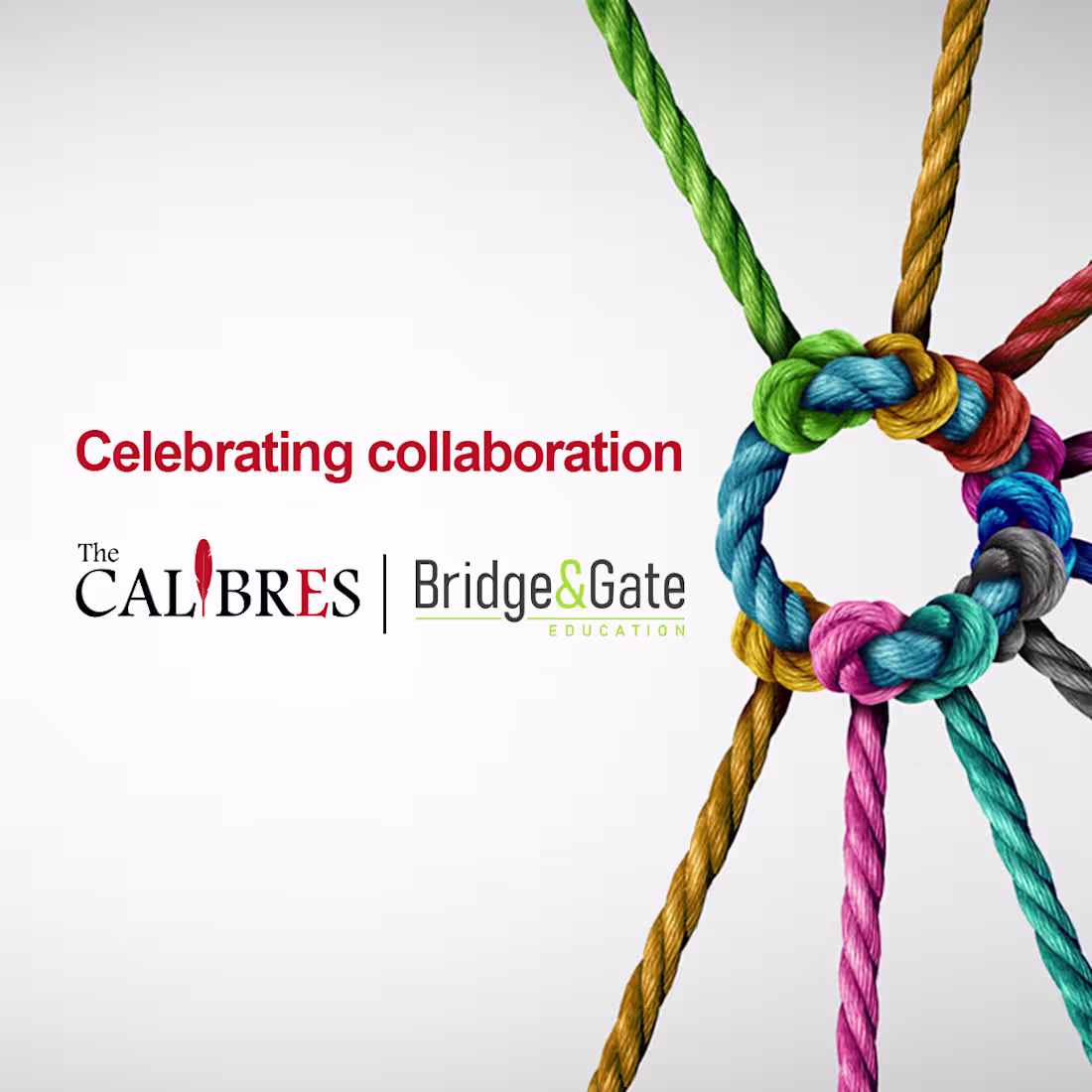 Cover image for The Calibres Branding
