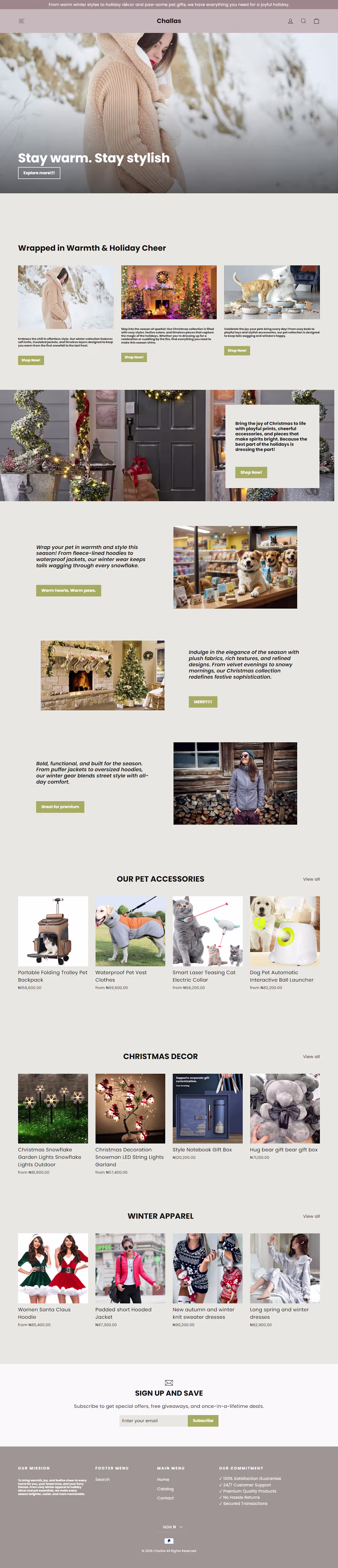 Cover image for Custom Shopify Store Design —