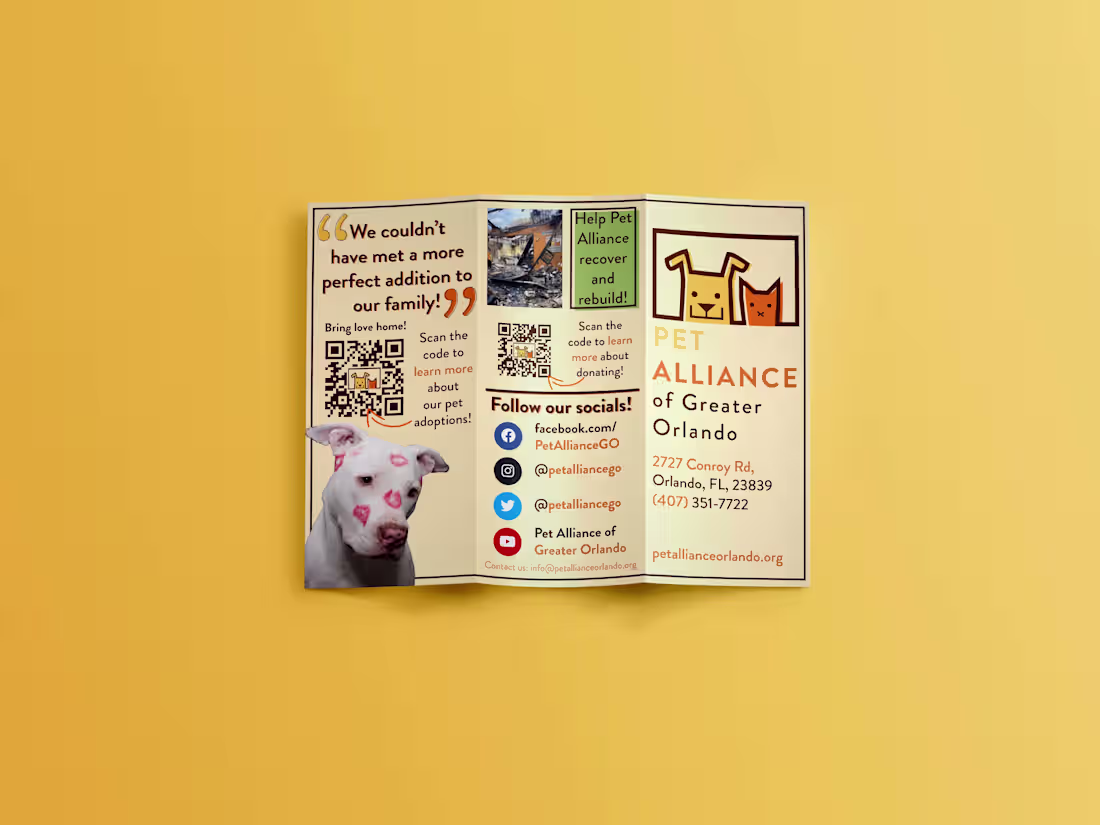 Cover image for Nonprofit Brochure