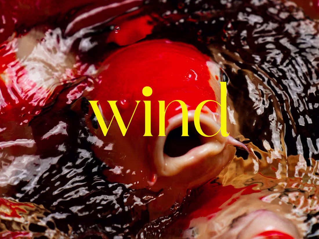 Cover image for WIND - Narrative Short