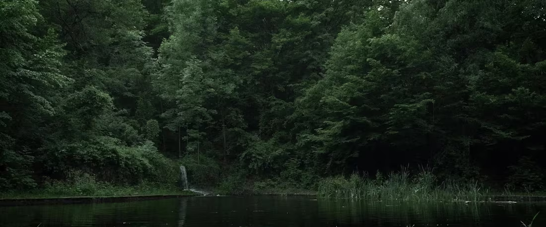 Cover image for Here are some stills from a short camera/grade test we did.