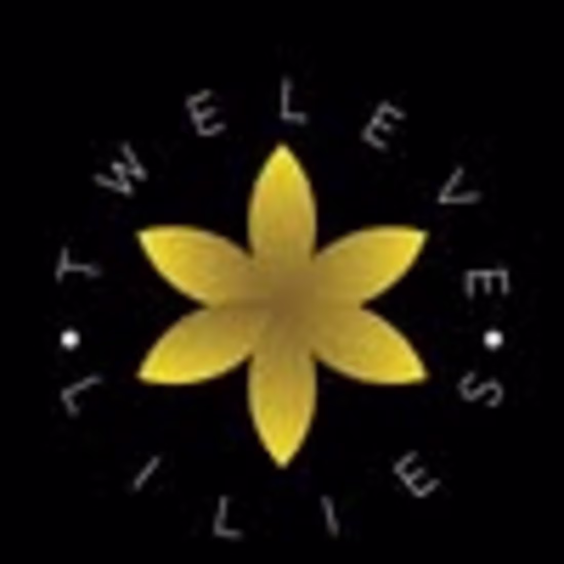 Cover image for 12 Lilies (@12liliesllc) • Instagram photos and videos