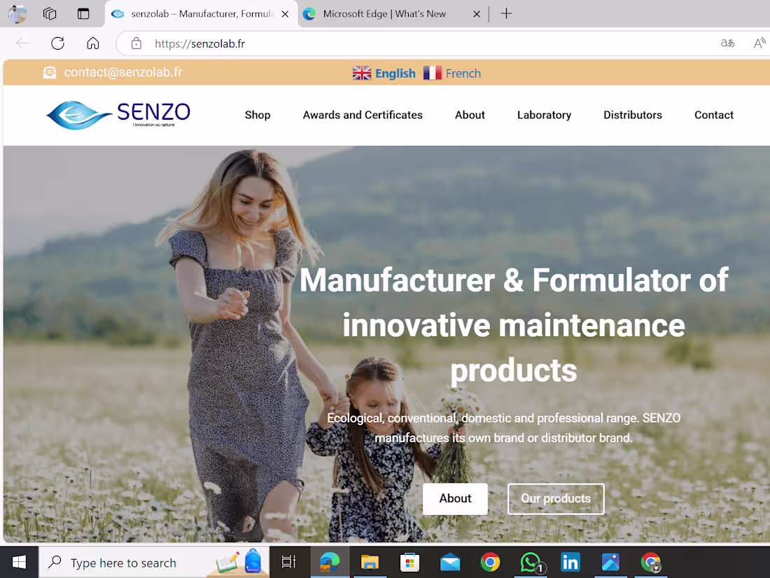 Cover image for E-commerce store
