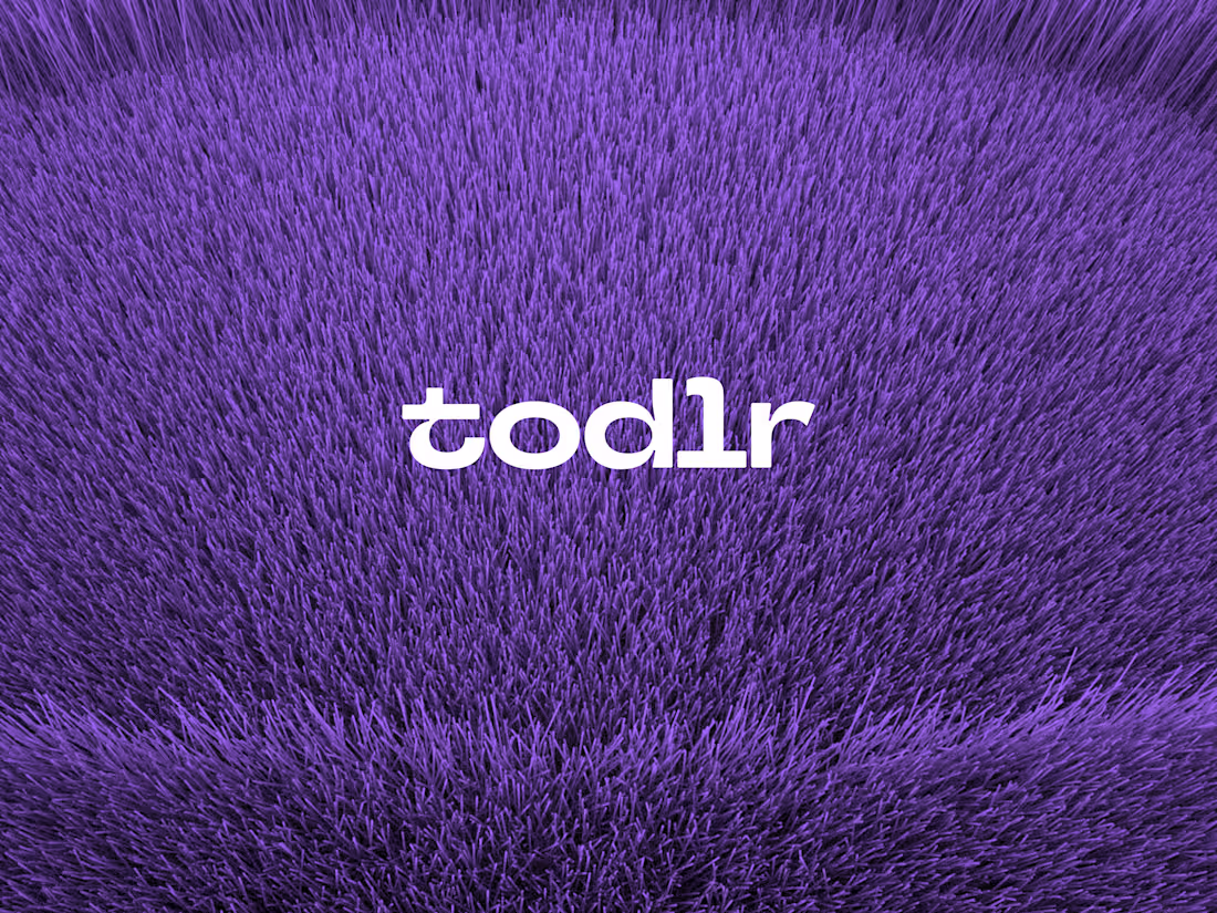 Cover image for Brand Design for Todlr