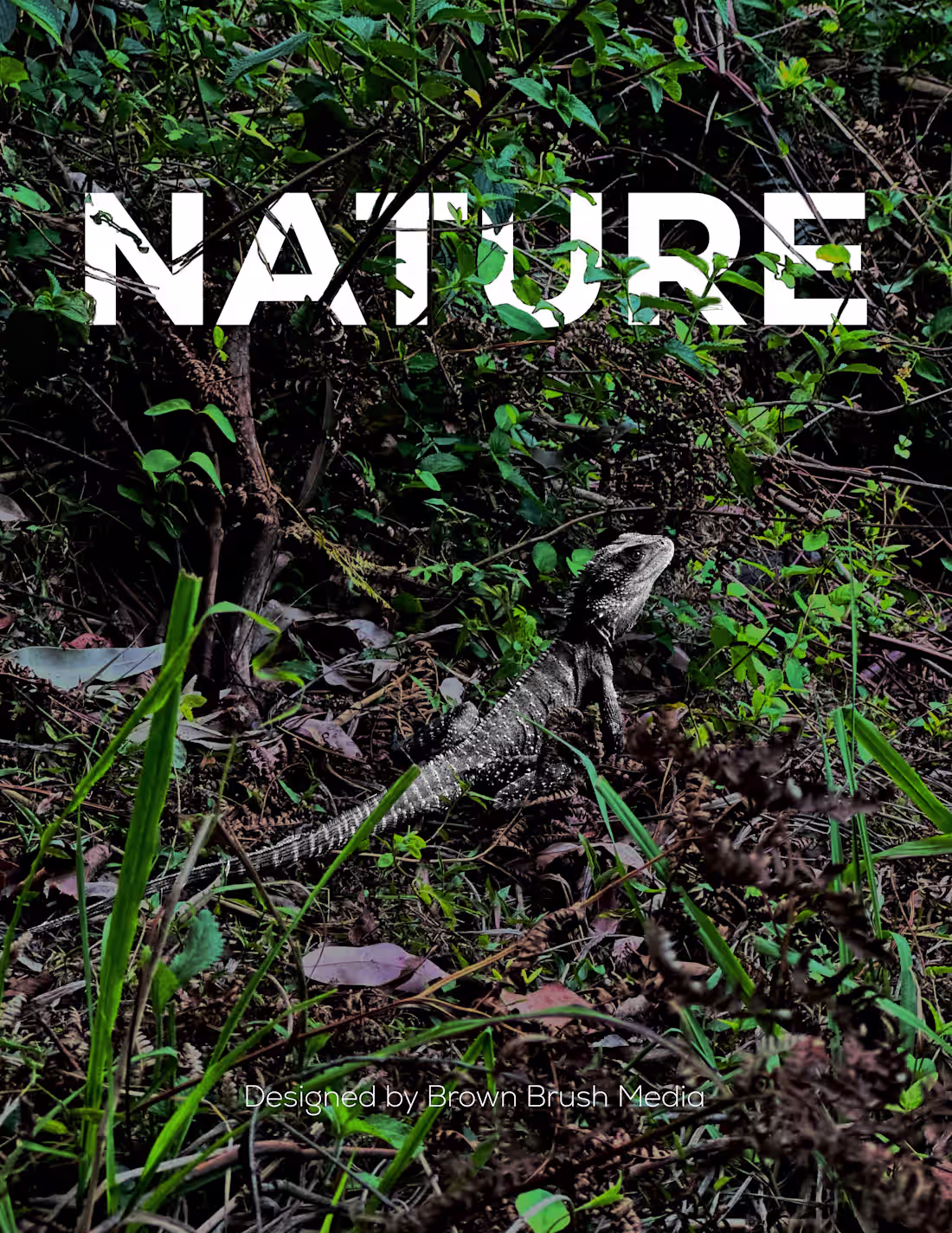 Cover image for NAT🍃RE