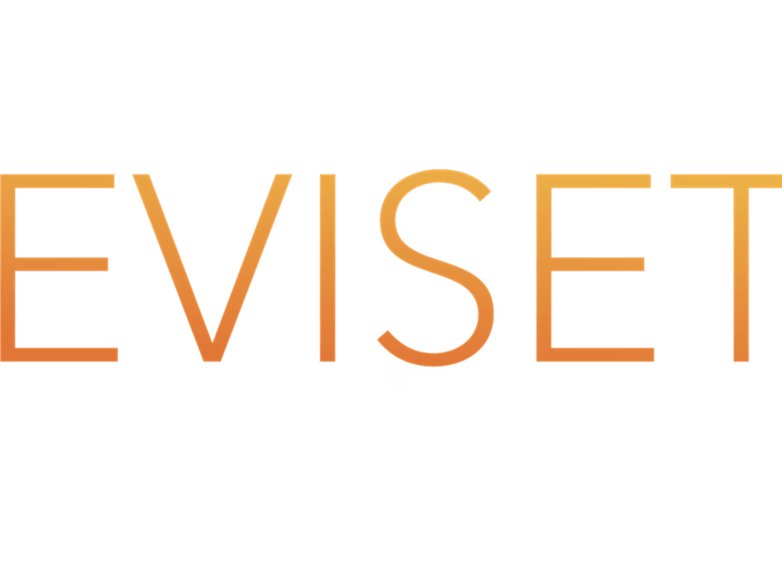 Cover image for Eviset - Marketing Project Manager