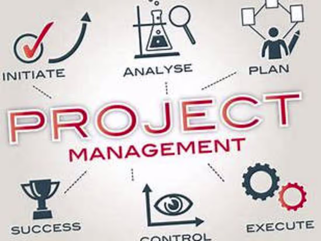 Cover image for End-to-End Project Management Excellence