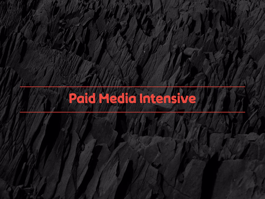 Cover image for Paid Media Intensive