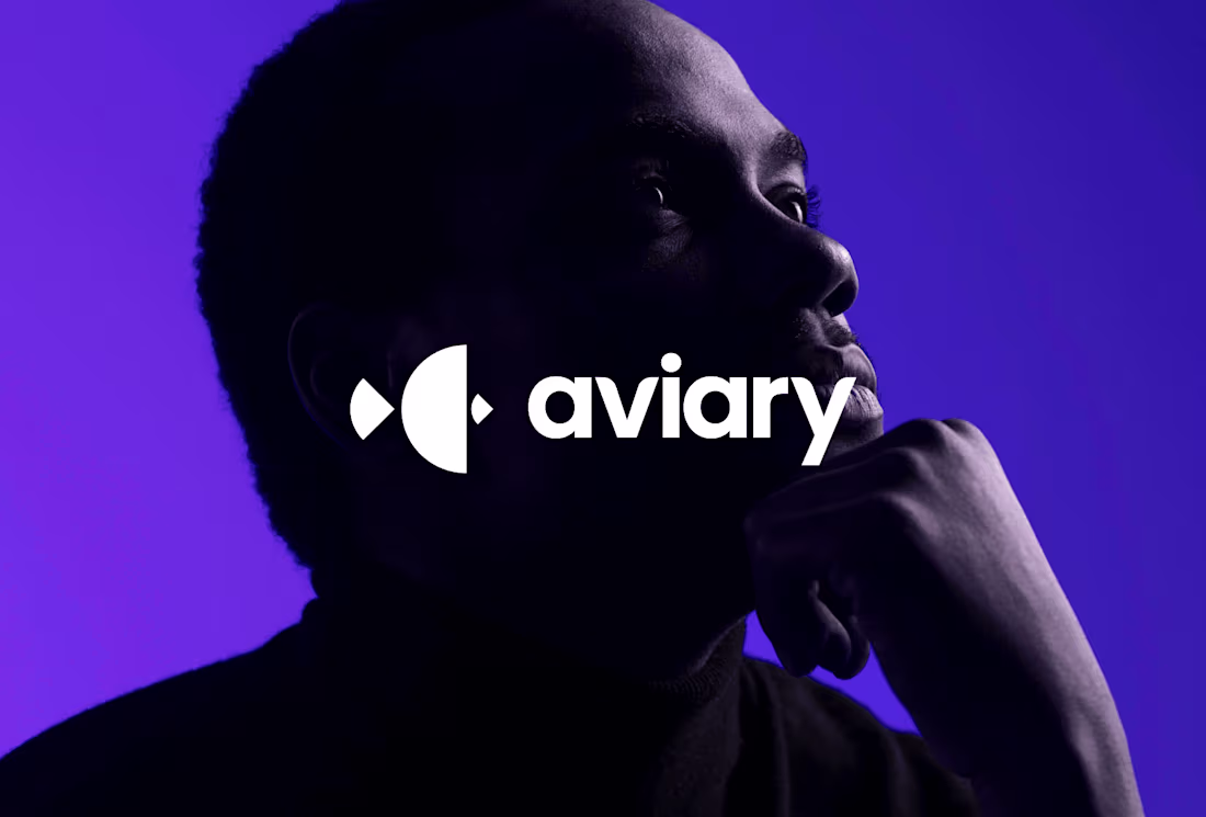 Cover image for Aviary Analytics - Branding
