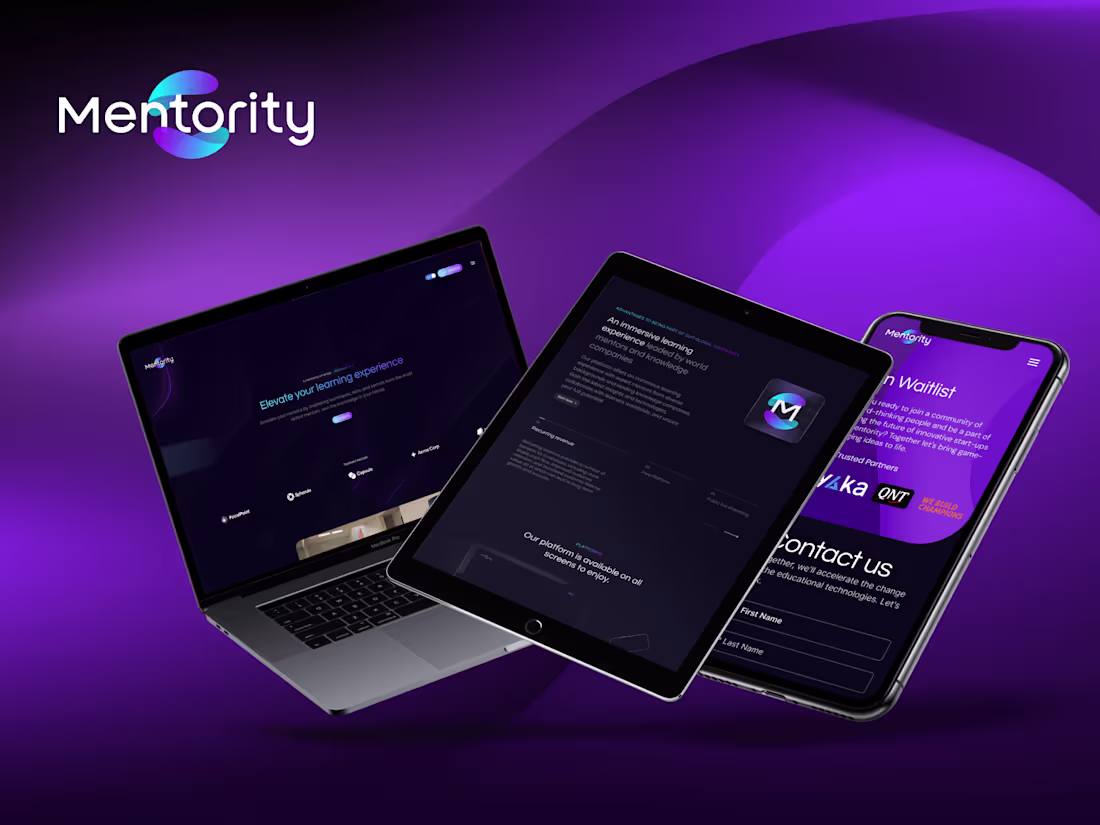 Cover image for Mentority