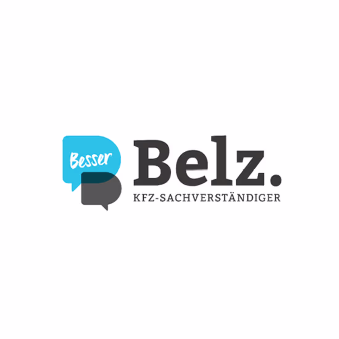 Cover image for This project for the Belz
