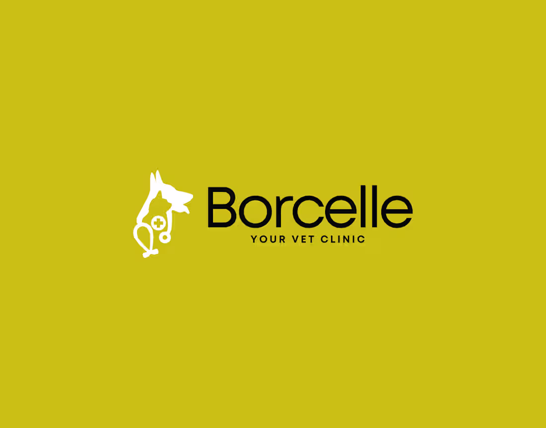 Cover image for Borcelle Veterinary Clinic Brand Identity Design