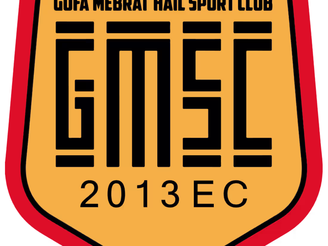 Cover image for Professional Logo Design
