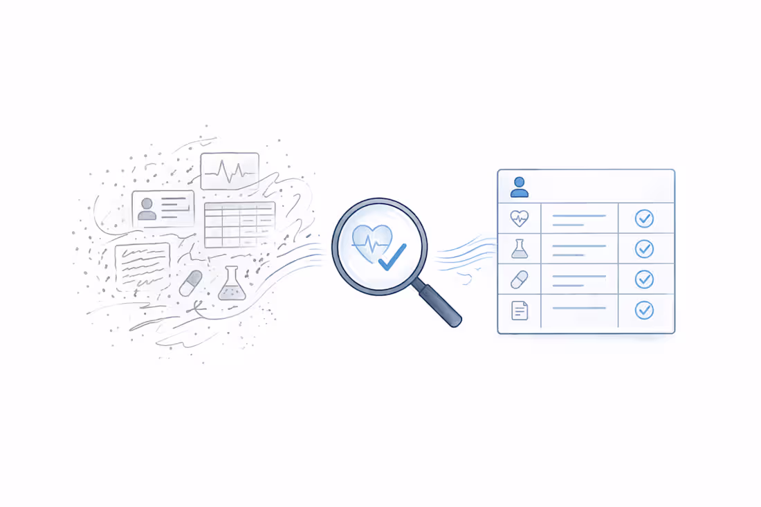 Cover image for Healthcare Data Audit