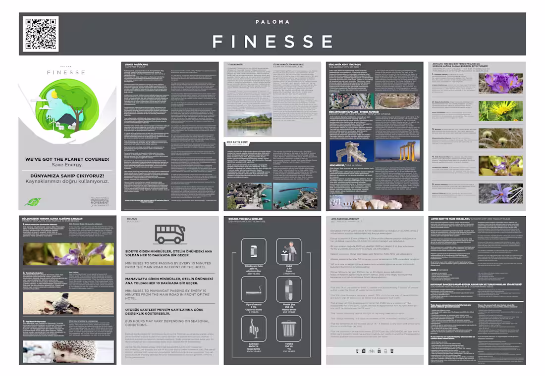 Cover image for Professional Brochure & Layout Design