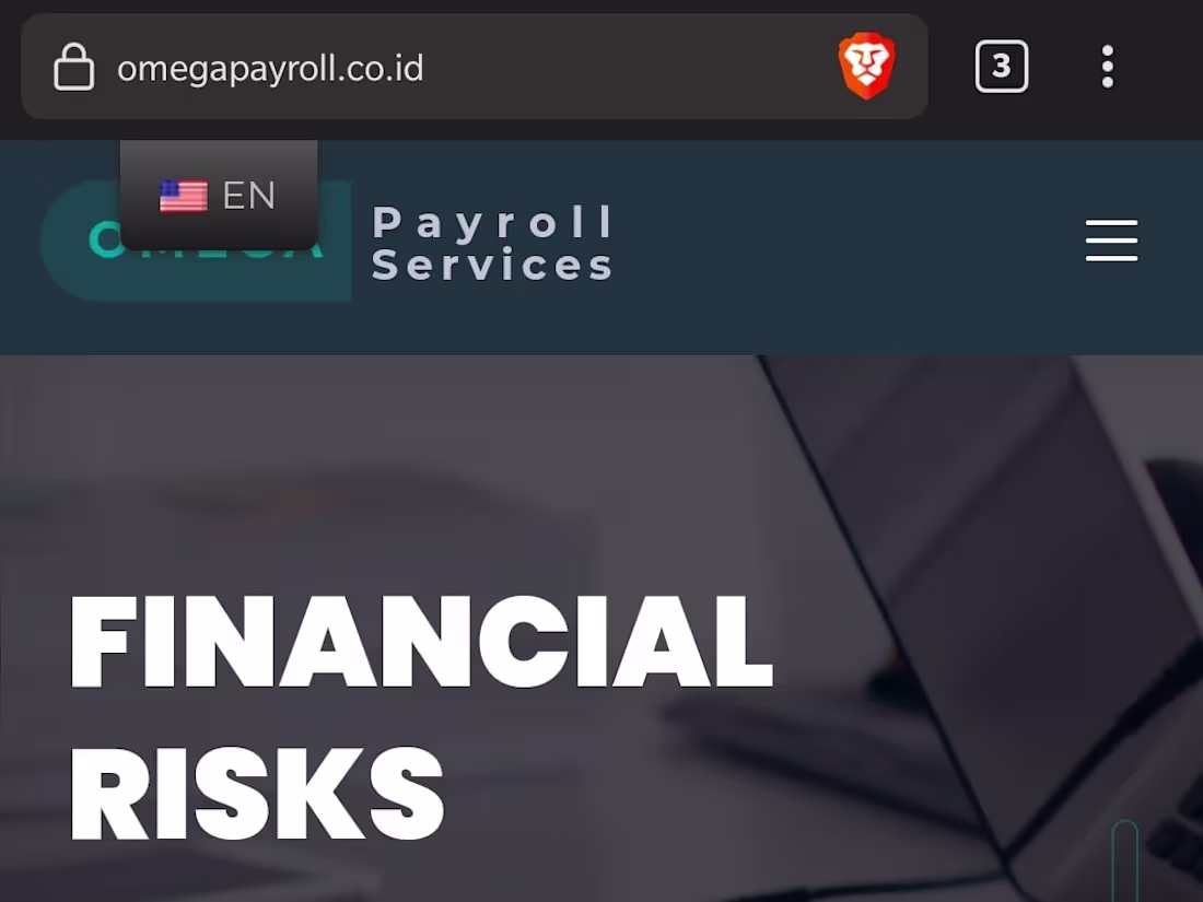 Cover image for Website Development - omegapayroll.co.id