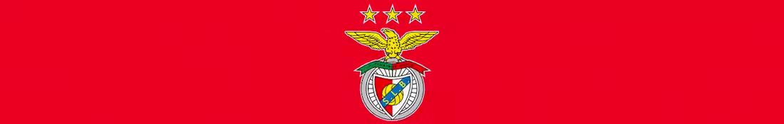 Cover image for Sport Lisboa e Benfica @ Sara