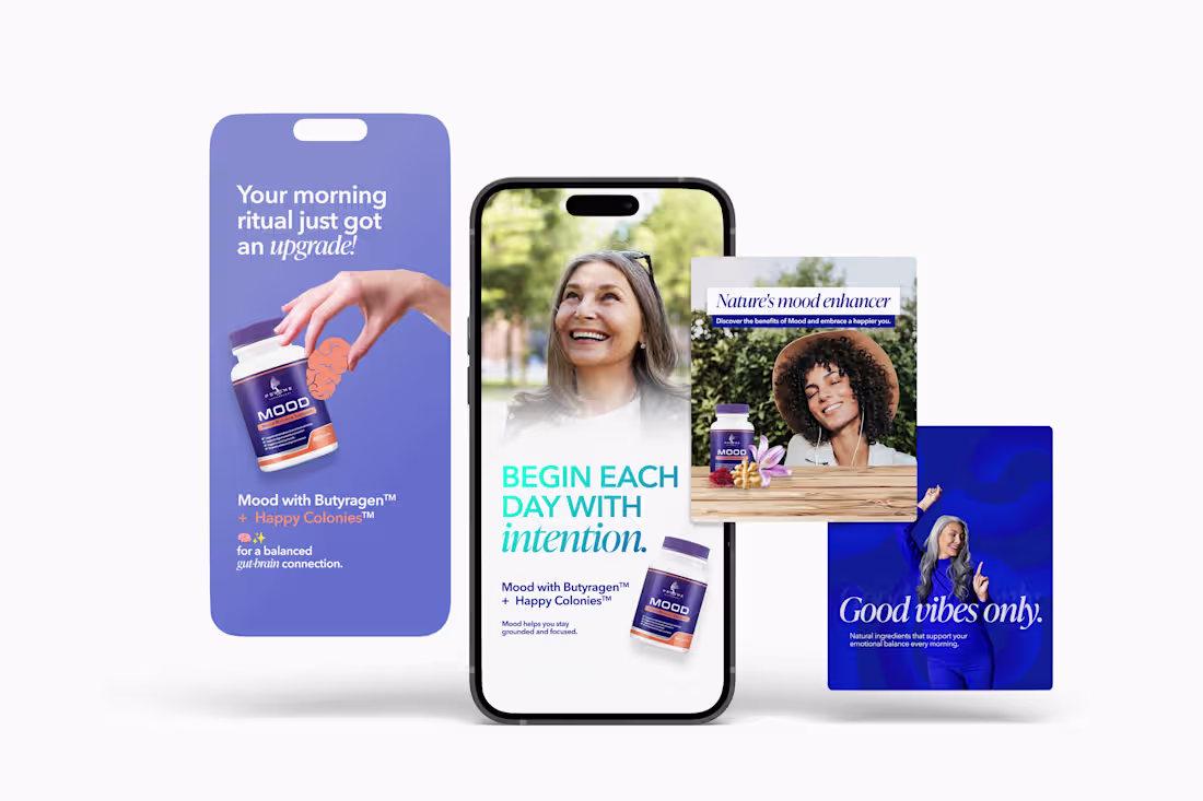 Cover image for This collection of social media
