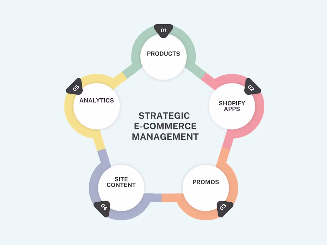 Cover image for Expert Shopify E-Commerce Management