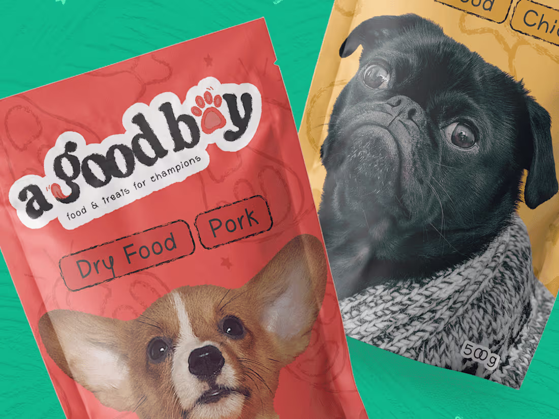 Cover image for A Good Boy