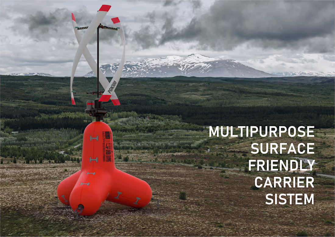 Cover image for MSFCS